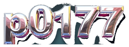 p0171 logo